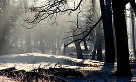 華宇光電,昆明網(wǎng)站建設(shè)，昆明網(wǎng)站設(shè)計，昆明網(wǎng)站制作,昆明網(wǎng)站建設(shè),云南網(wǎng)站建設(shè),昆明網(wǎng)站設(shè)計,云南網(wǎng)站設(shè)計,昆明網(wǎng)站制作,云南網(wǎng)站制作,商城網(wǎng)站建設(shè),政府網(wǎng)站建設(shè),集團(tuán)網(wǎng)站建設(shè),電商平臺建設(shè),高端網(wǎng)站建設(shè),微網(wǎng)站建設(shè)