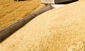 昆明網(wǎng)站建設(shè)|云南網(wǎng)站建設(shè)|昆明網(wǎng)站設(shè)計|昆明網(wǎng)站制作|云南網(wǎng)站,昆明網(wǎng)站建設(shè),云南網(wǎng)站建設(shè),昆明網(wǎng)站設(shè)計,云南網(wǎng)站設(shè)計,昆明網(wǎng)站制作,云南網(wǎng)站制作,商城網(wǎng)站建設(shè),政府網(wǎng)站建設(shè),集團(tuán)網(wǎng)站建設(shè),電商平臺建設(shè),高端網(wǎng)站建設(shè),微網(wǎng)站建設(shè)