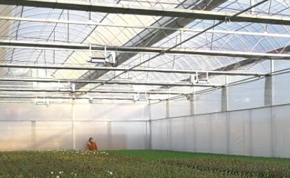 昆明網站建設|云南網站建設|昆明網站設計|昆明網站制作|云南網站制作|云南網站設計|承錦科技,昆明網站建設,云南網站建設,昆明網站設計,云南網站設計,昆明網站制作,云南網站制作,商城網站建設,政府網站建設,集團網站建設,電商平臺建設,高端網站建設,微網站建設